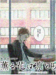 西瓜壁纸手机横版